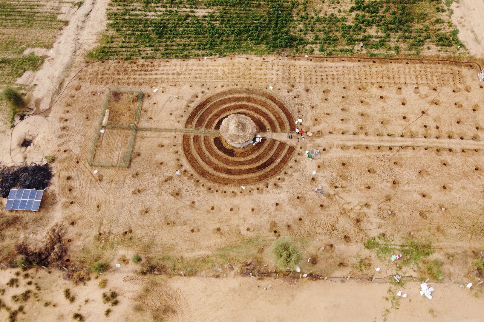image Senegalese plant circular gardens in Green Wall defence against desert