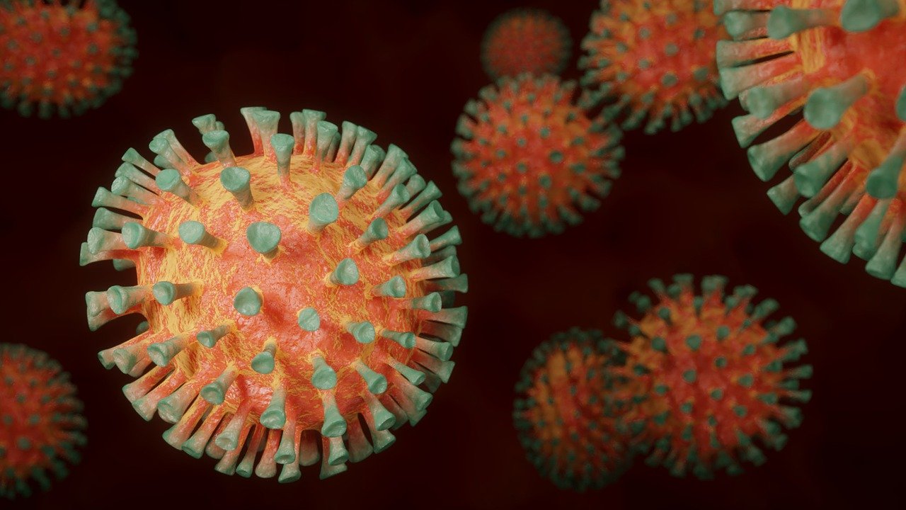 image Coronavirus: Three deaths, 835 new cases seen on Monday (updated)