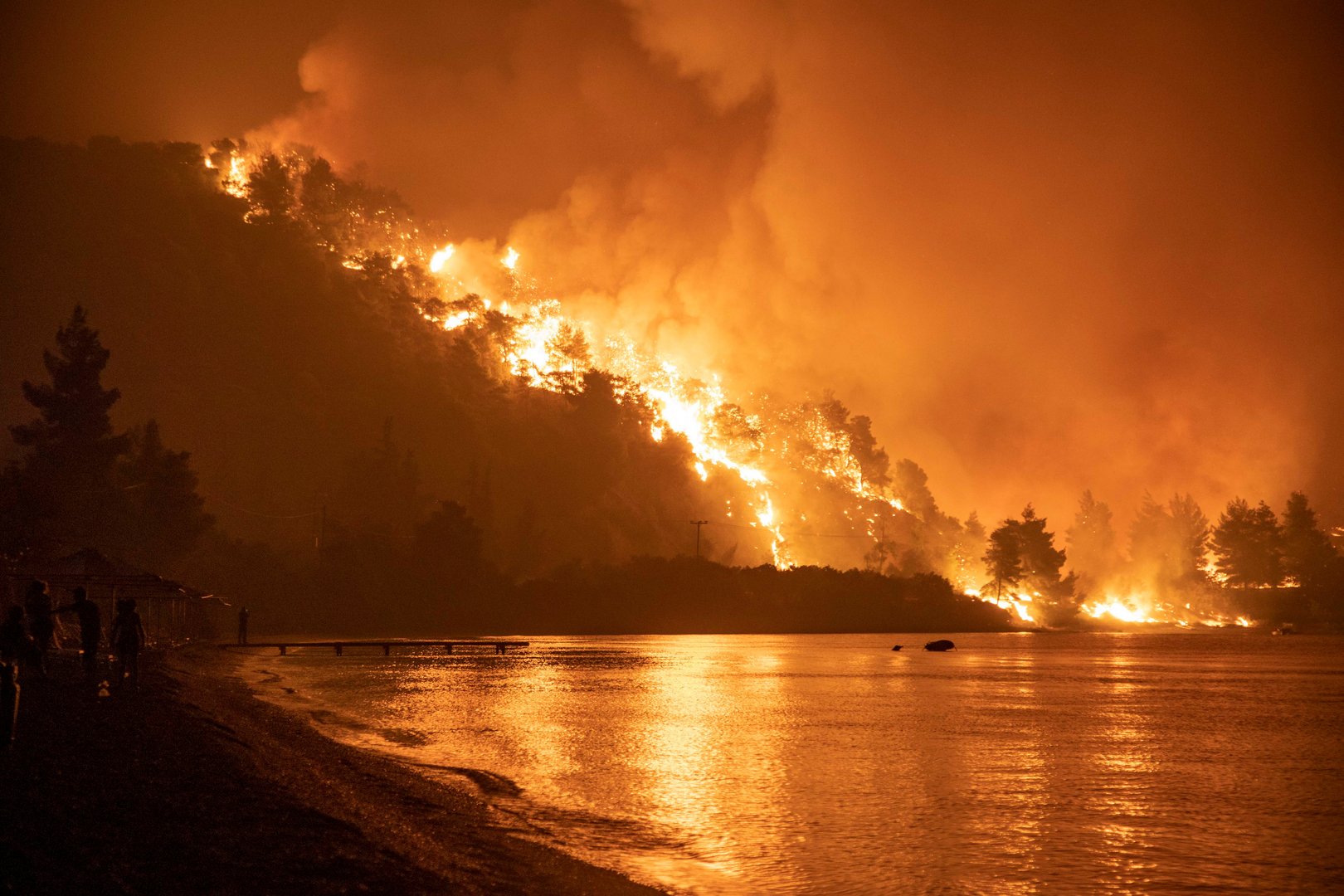 image Blaze ravages Evia island on sixth day of Greek wildfires (Updated)