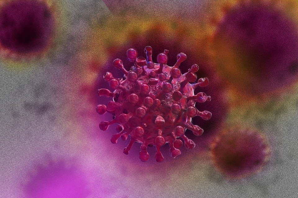 image Coronavirus: six deaths, 324 more people test positive on Friday (Updated)