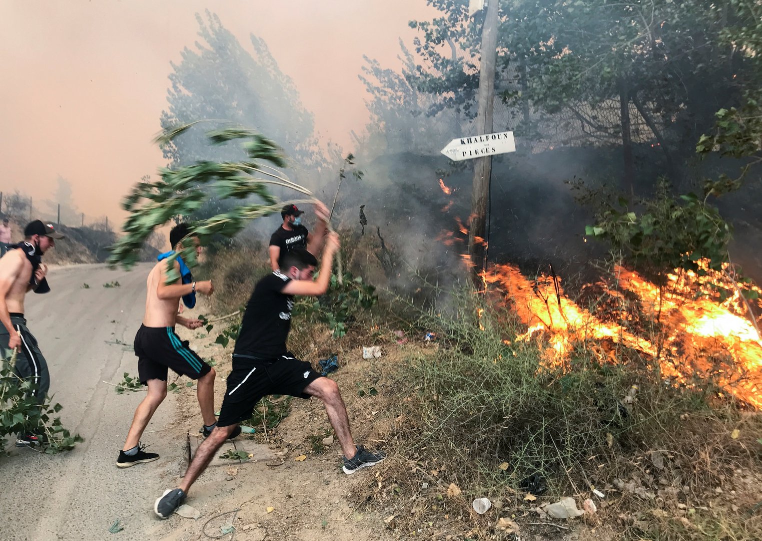 image Wildfire rips through Algeria, killing 42 people including soldiers