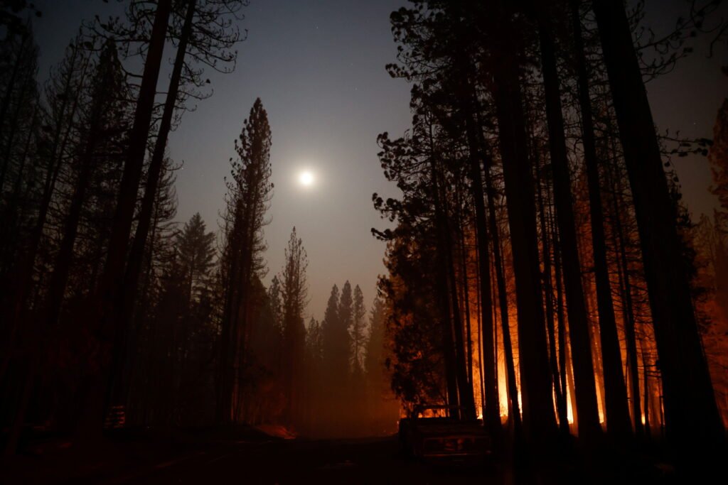 aftermath of caldor fire in grizzly flats, california