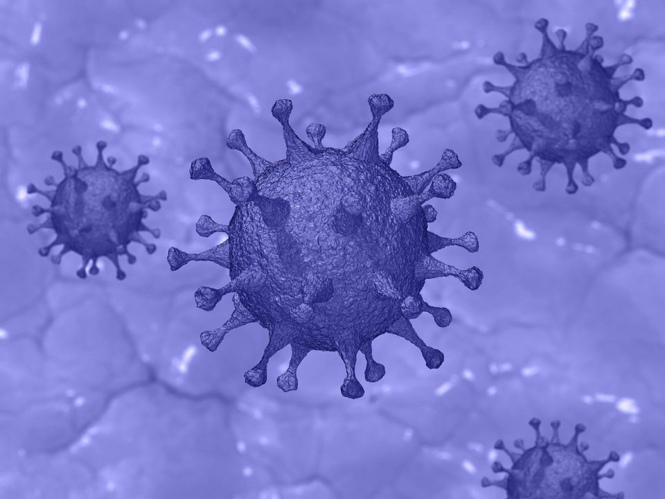 image Coronavirus: One death, 401 new cases