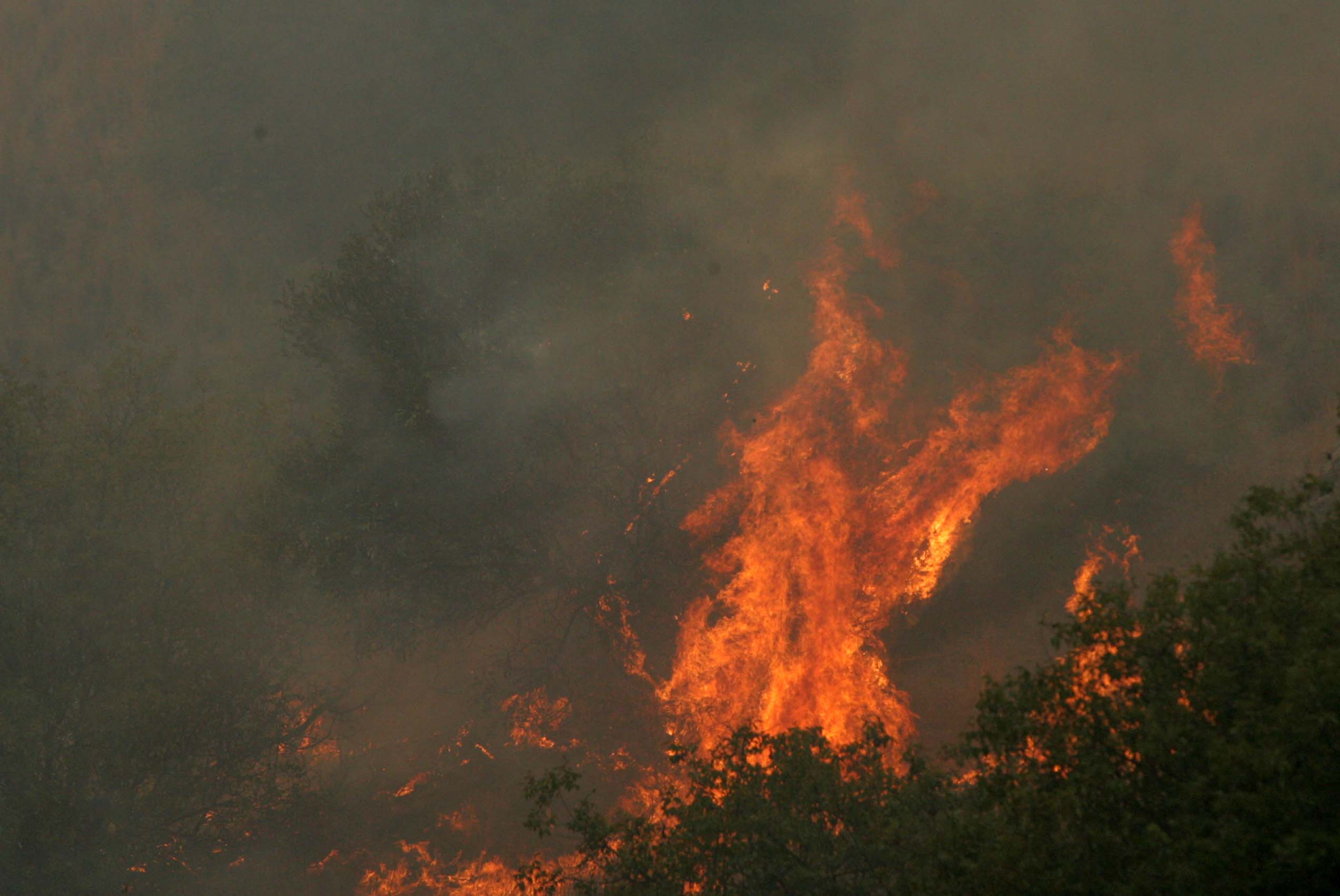 image Fires in Limassol district and Nicosia under control (Updated)