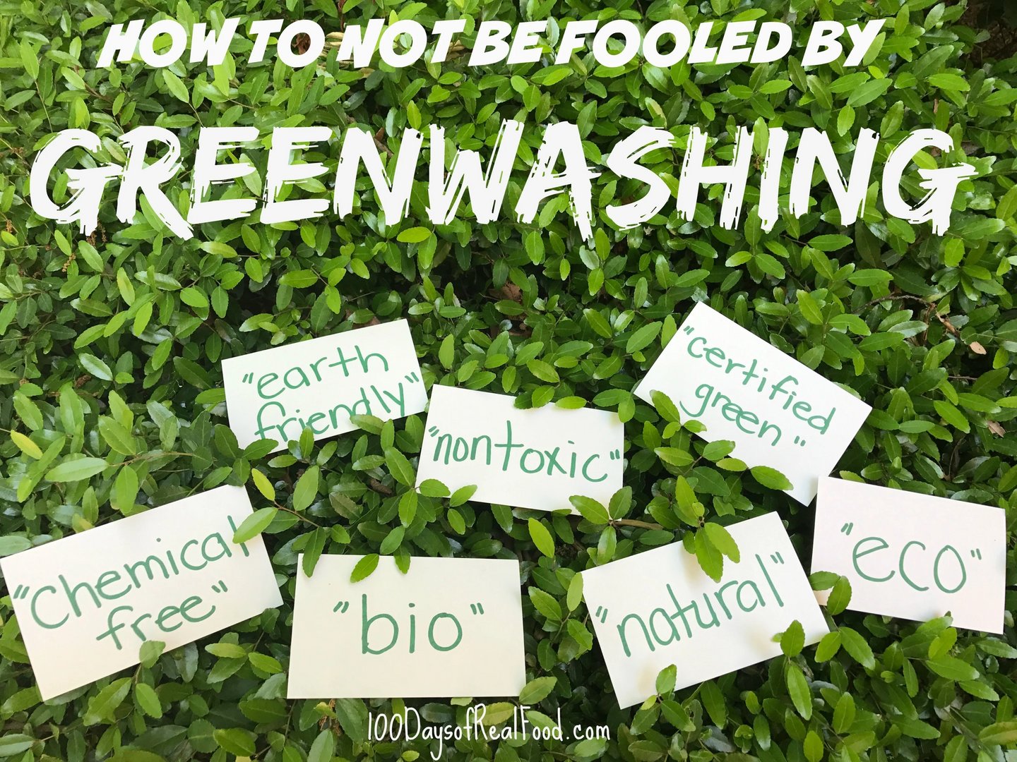 image Green investing or &#8216;greenwashing?&#8217; EU rules lead to confusion