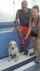 chris, gaynor, and coral, a labrador who had hip dysplasia