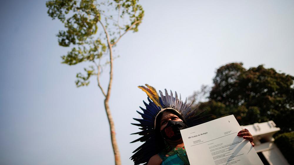 image Indigenous protestors seek Norwegian &#8216;asylum&#8217; for Brazilian tree