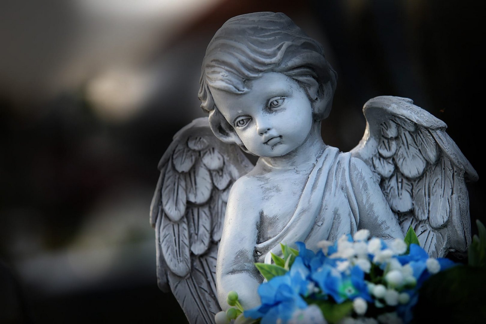 image Free funeral announcements now on Ourbeloved.cy