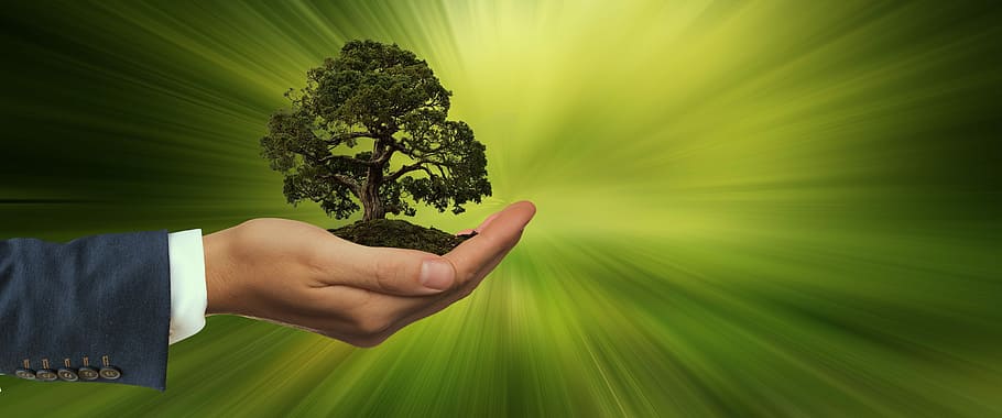 image Hellenic Bank: sustainable development a major pillar of its strategic planning