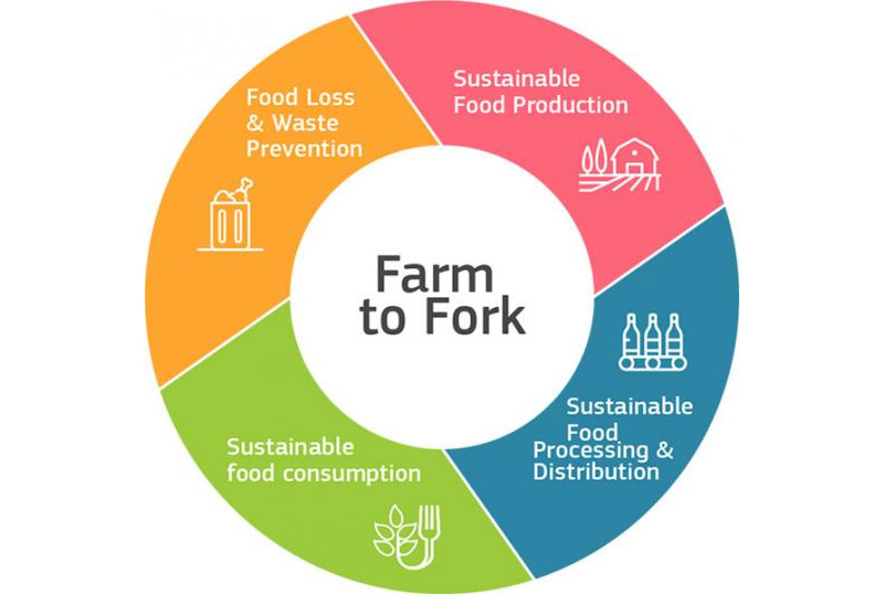 image From Farm to Fork