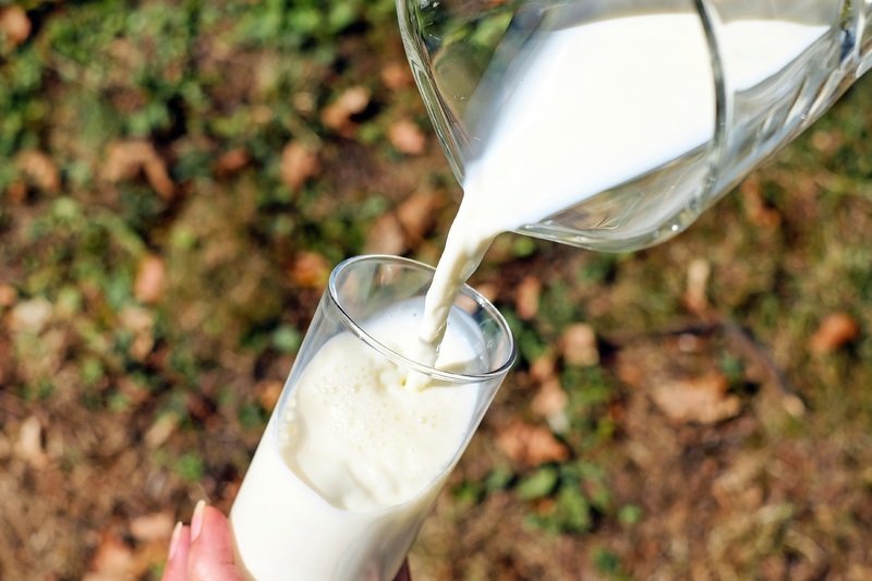 white glass food produce drink milk 548413 pxhere.com