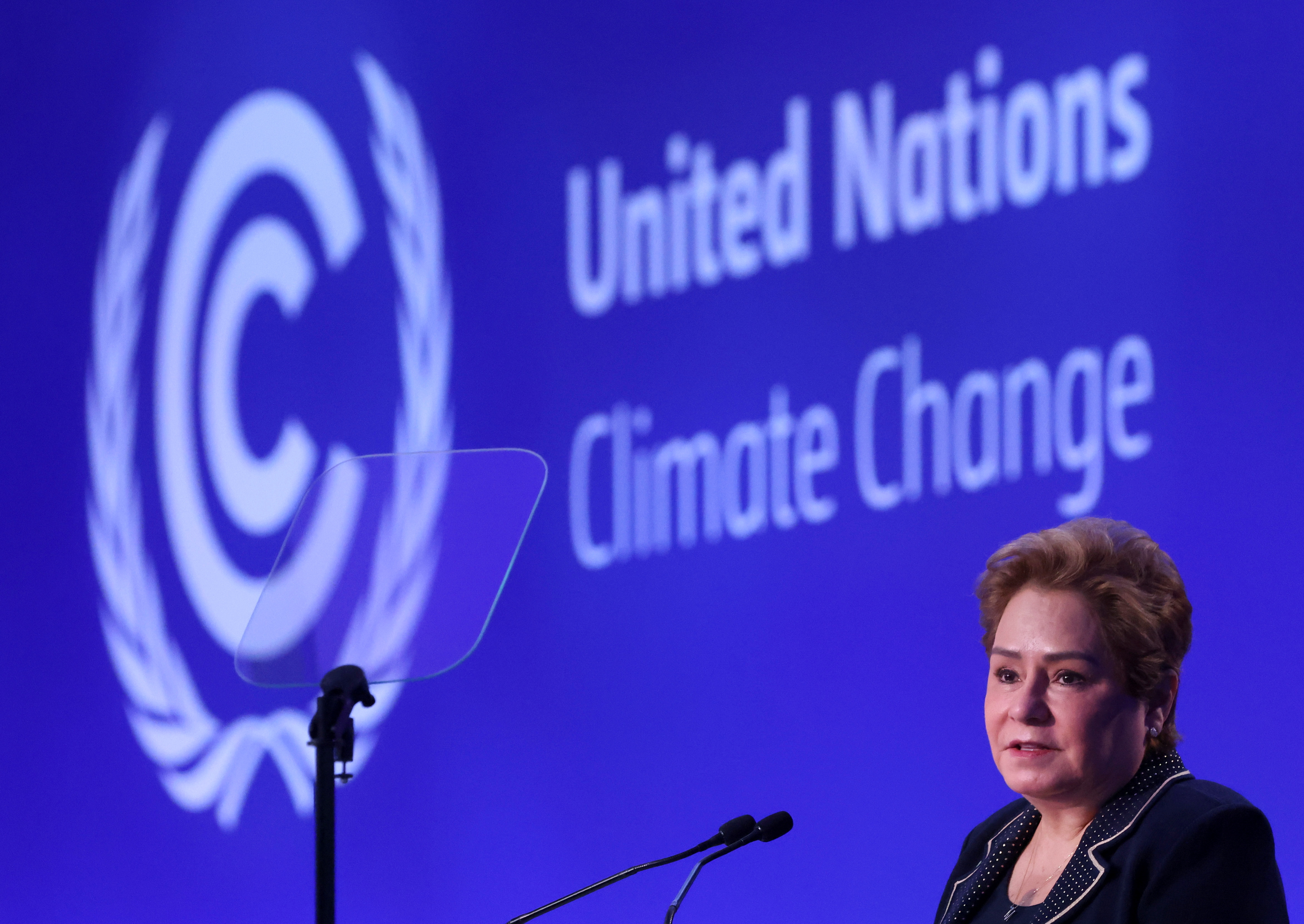 image G20 leaders final statement offers few commitments on climate (Update)