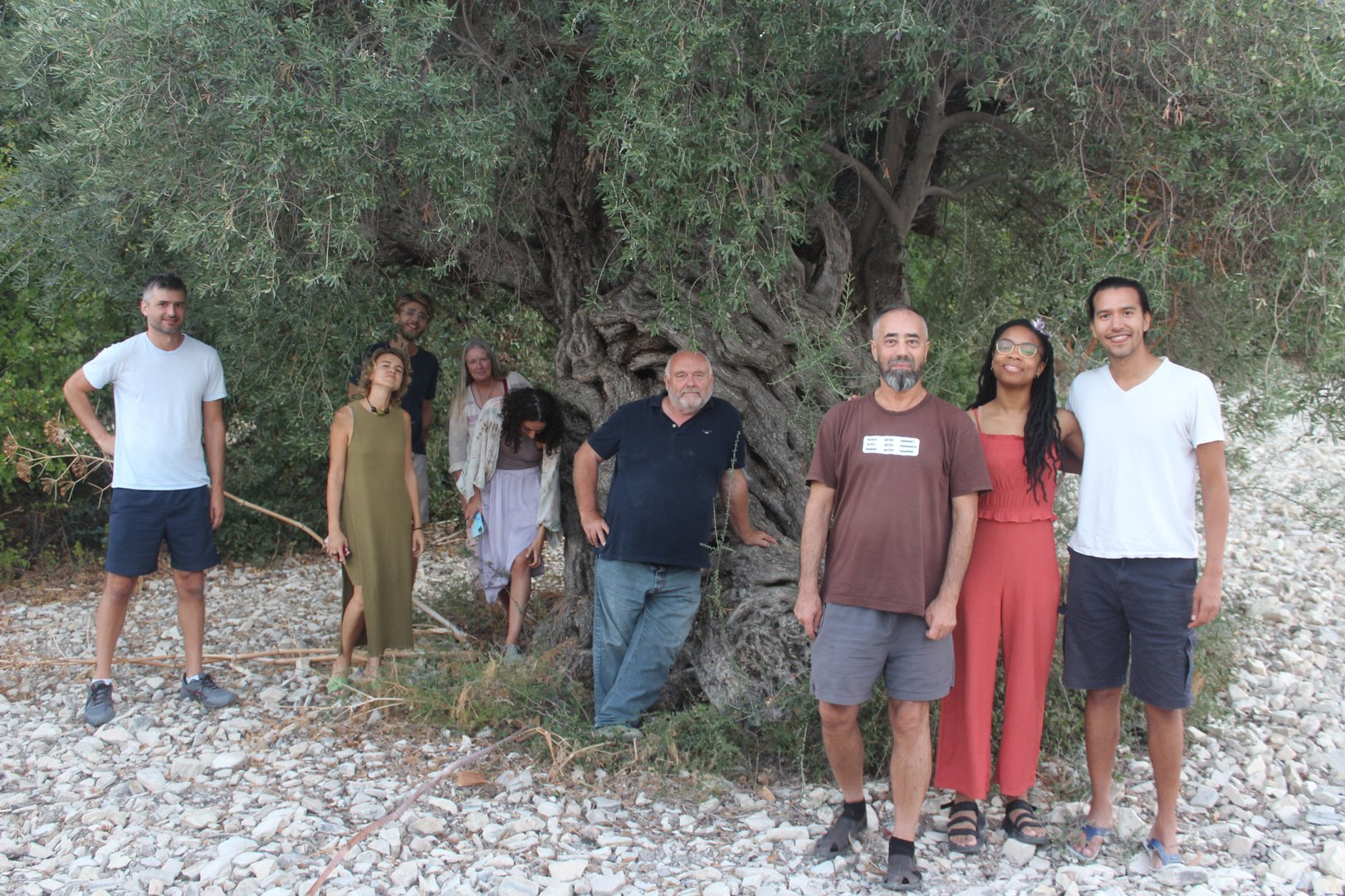 image Forests, trees and food: a glimpse of a Cypriot future?