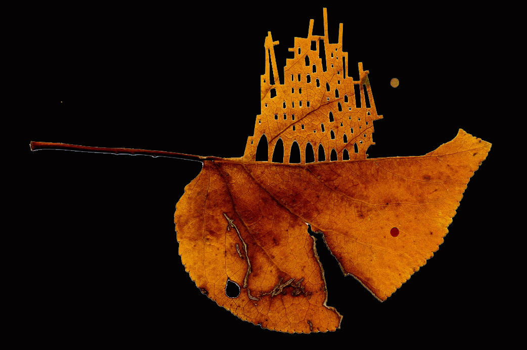 image Leaf artist takes a closer look at life