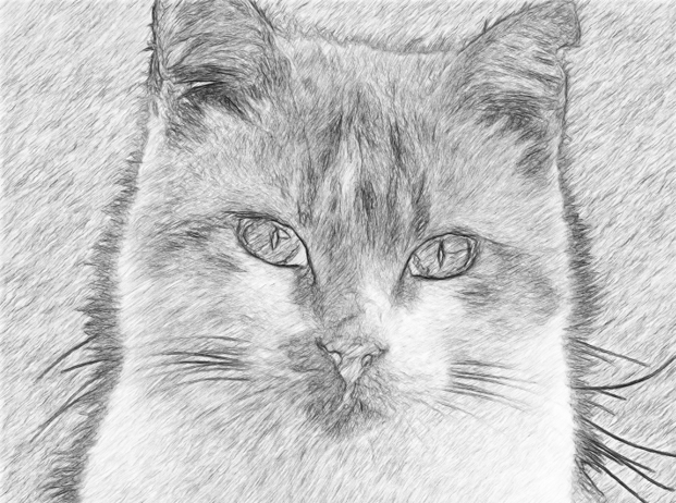 Convert an Image into a PENCIL SKETCH in Photoshop  Behance