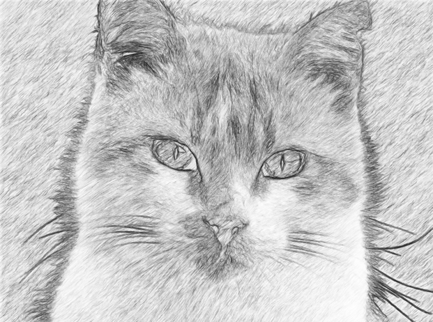 Free Image to Pencil Sketch Converter AILab