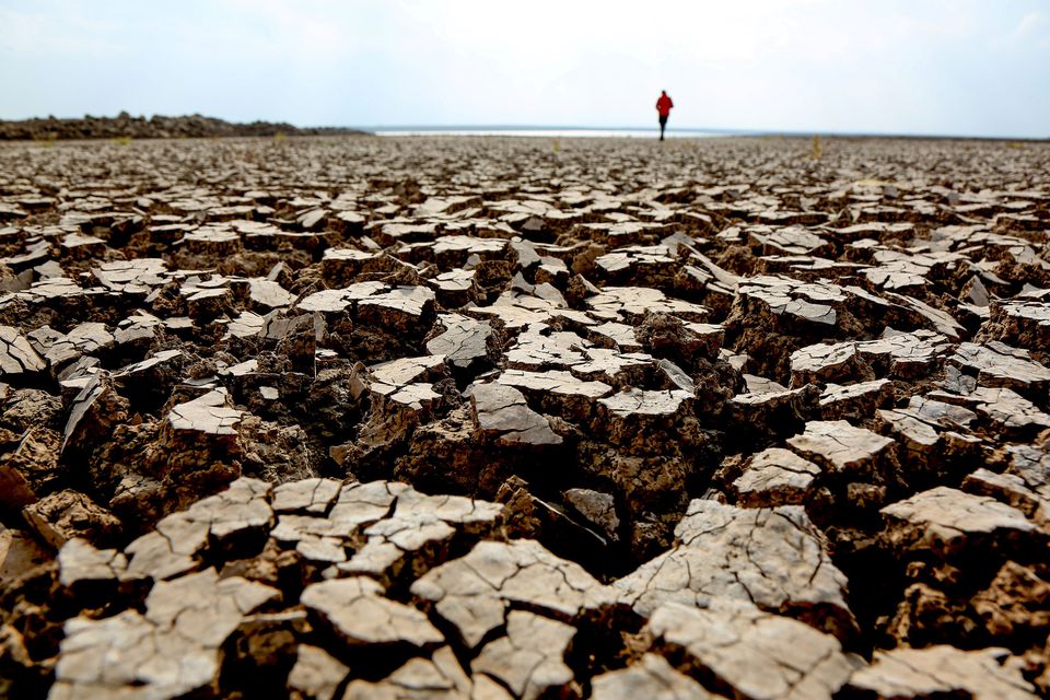 cover Blaming climate change, Turkish farmers count the cost of drought