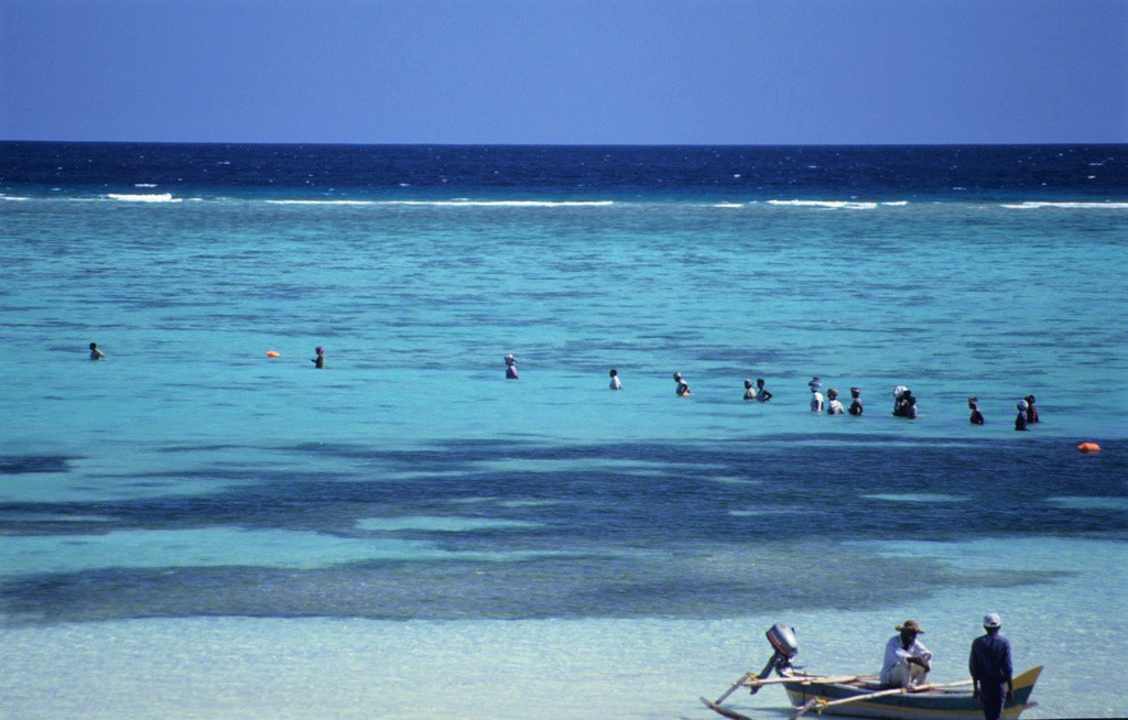image What’s Eaten Where: Comoros