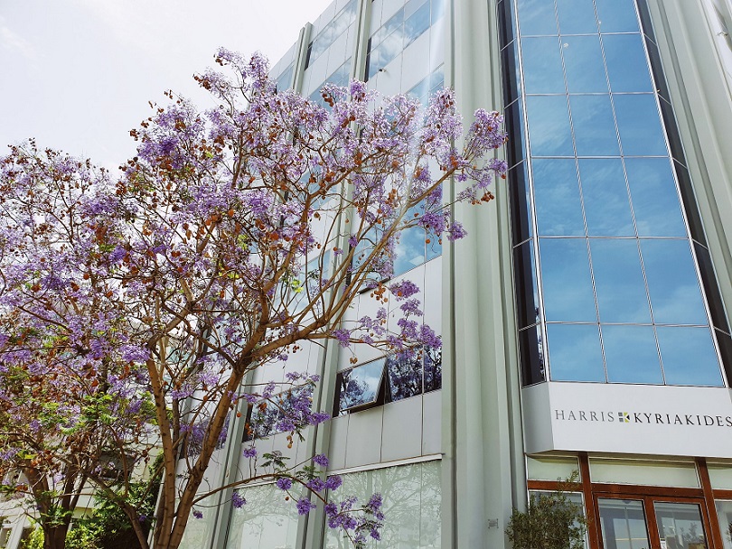 image Harris Kyriakides celebrates 45 years of successful operations