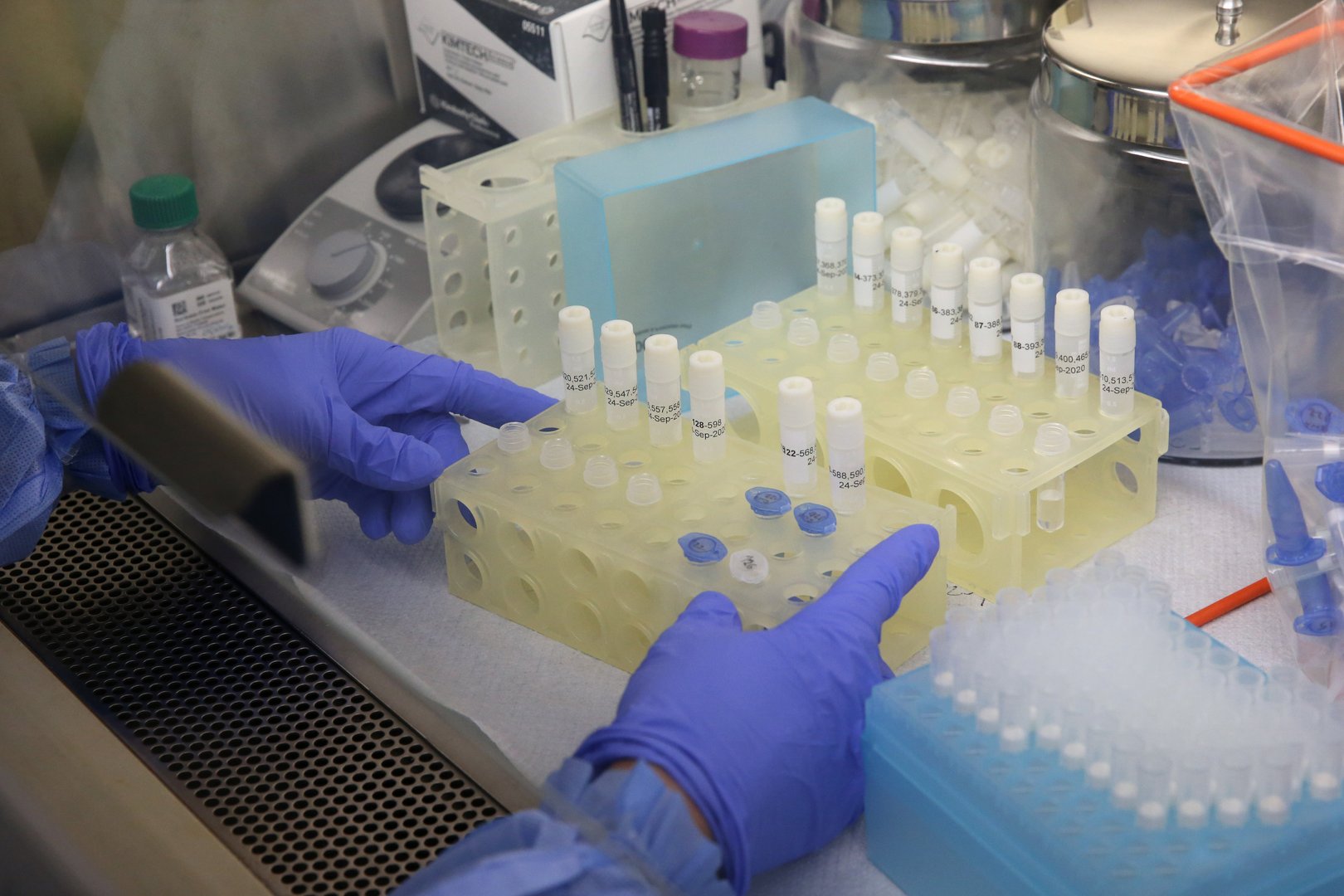 image Coronavirus: Delta remains dominant variant