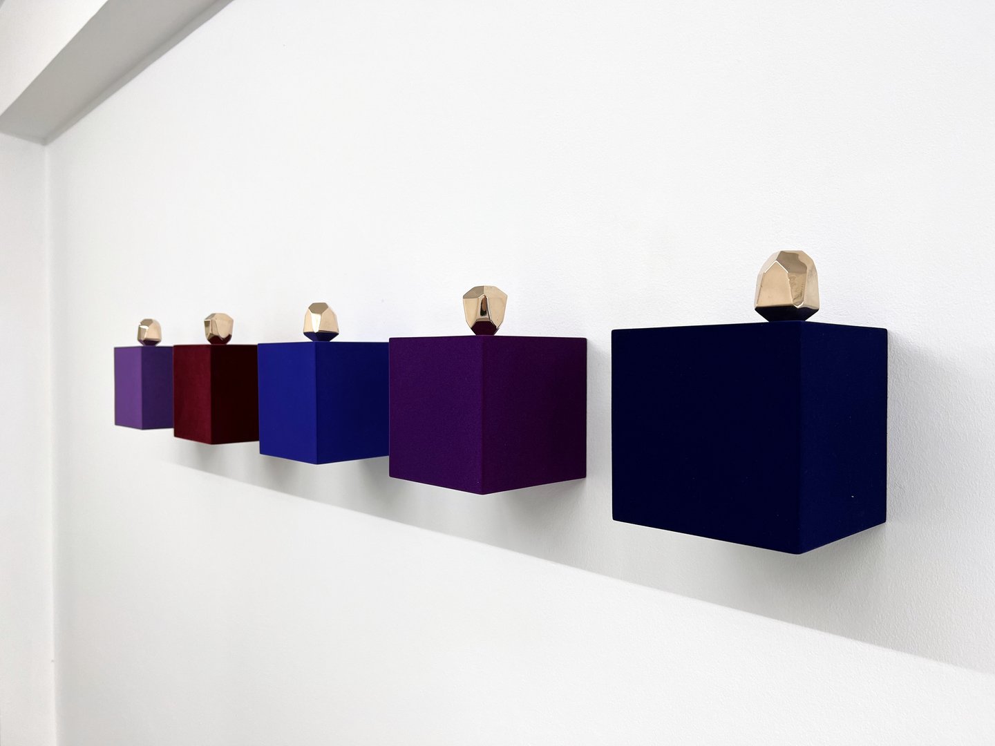 image Exhibition: Nature knows only colours