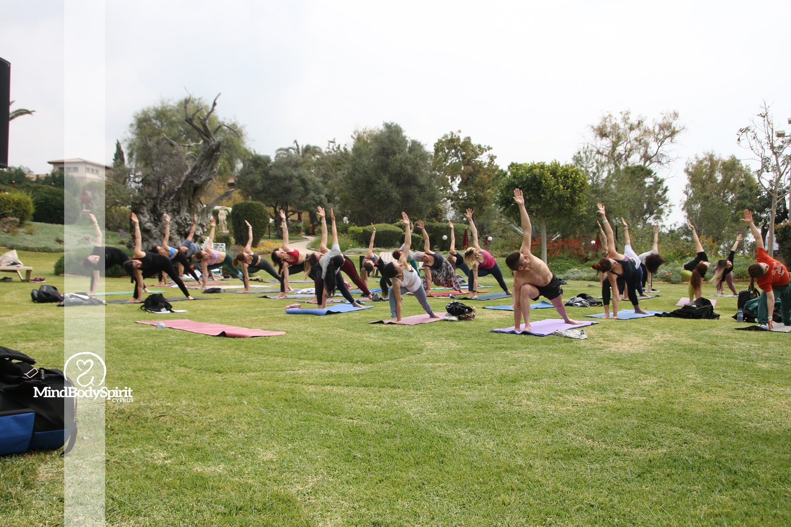 image Time to celebrate wellness for mind, body and spirit