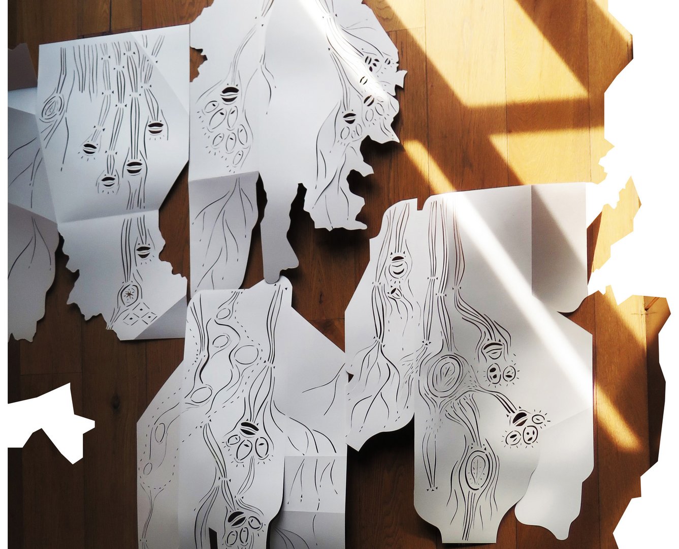 image Skin: a somatic performance and installation