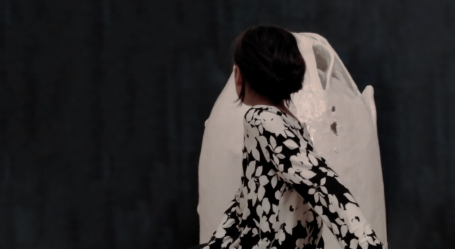 image Teach me something wonderful, exhibition asks