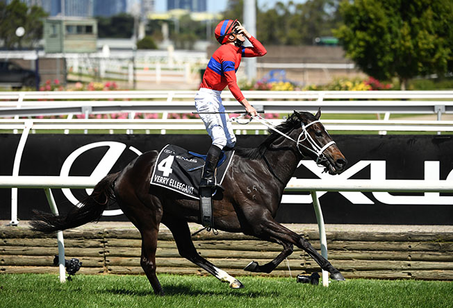 image Verry Elleegant storms home to win Melbourne Cup