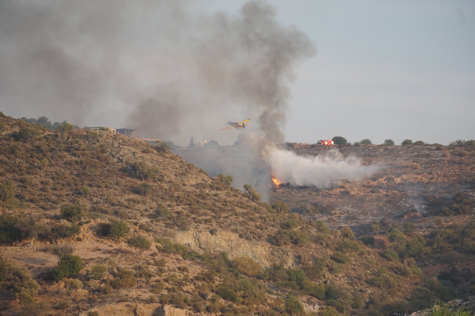 image Authorities investigate large number of rural fires in Paphos
