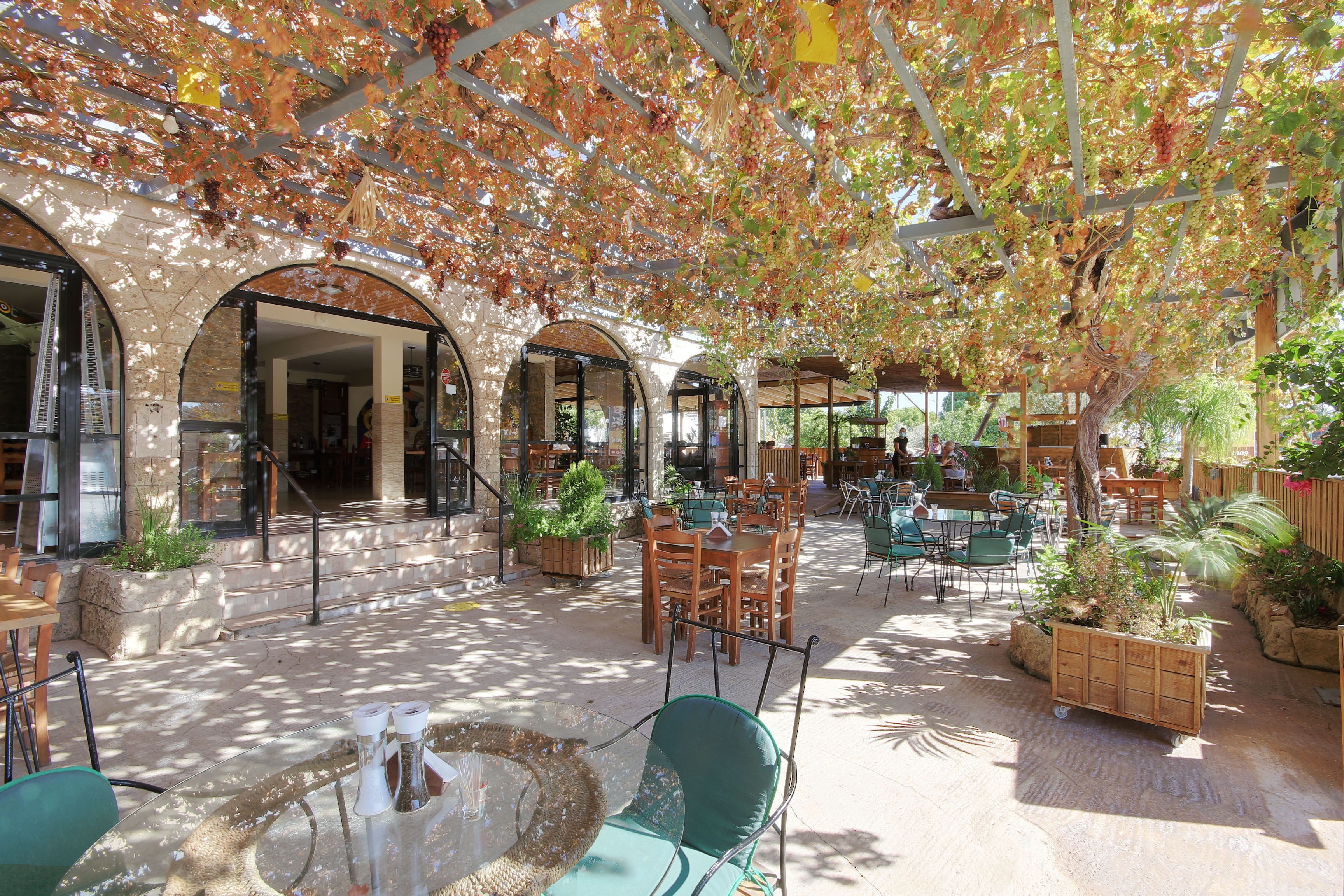 image Restaurant review: Londos Perasma Restaurant, Timi, Paphos