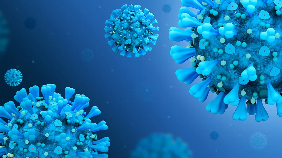 image Coronavirus: 3,782 new cases, no deaths
