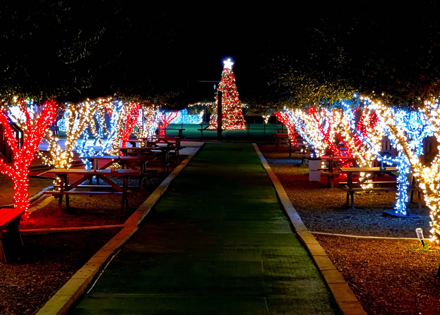 lights1