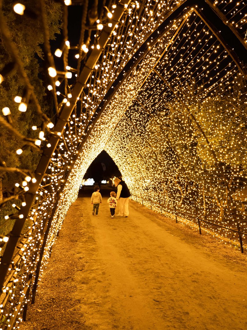 lights4