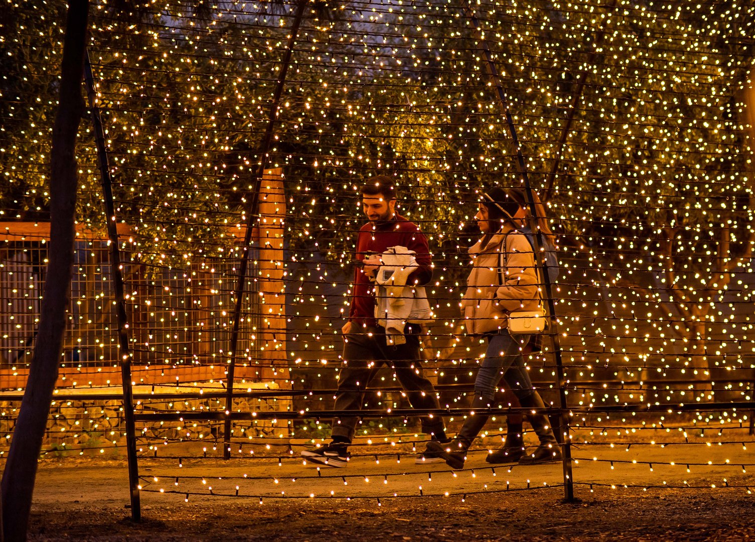 lights6
