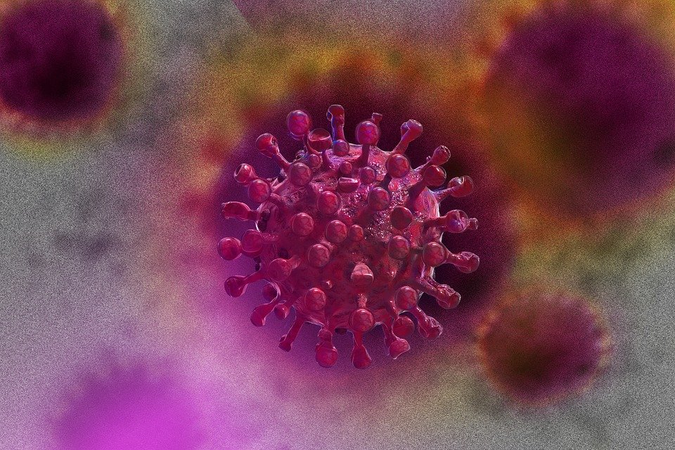 image Coronavirus: No deaths, 2,536 people test positive on Thursday (Updated)
