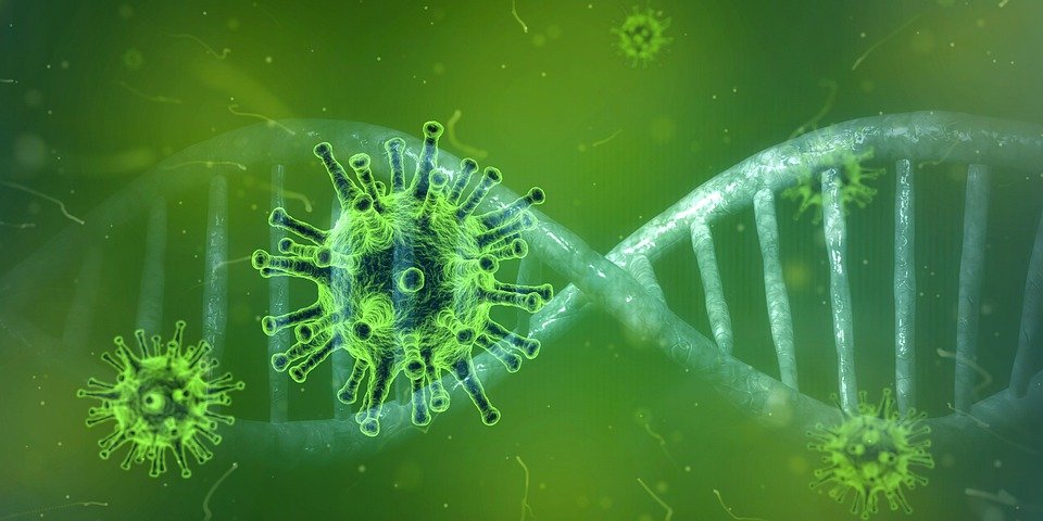 image Coronavirus: Eleven deaths, 2,282 people test positive on Thursday (Updated)