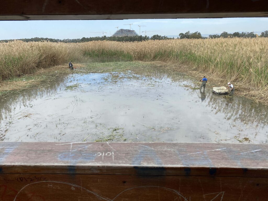 feature jon renovated viewpoint for birdwatching at akrotiri wetland