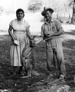 feature paul cypriot australians circa 1950s