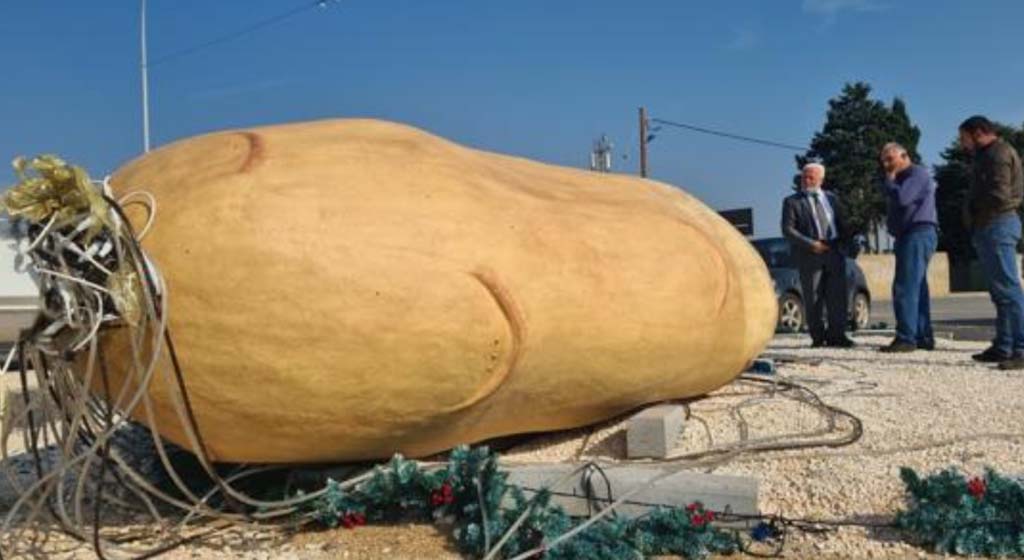 image Investigations continue after Big Potato cut down