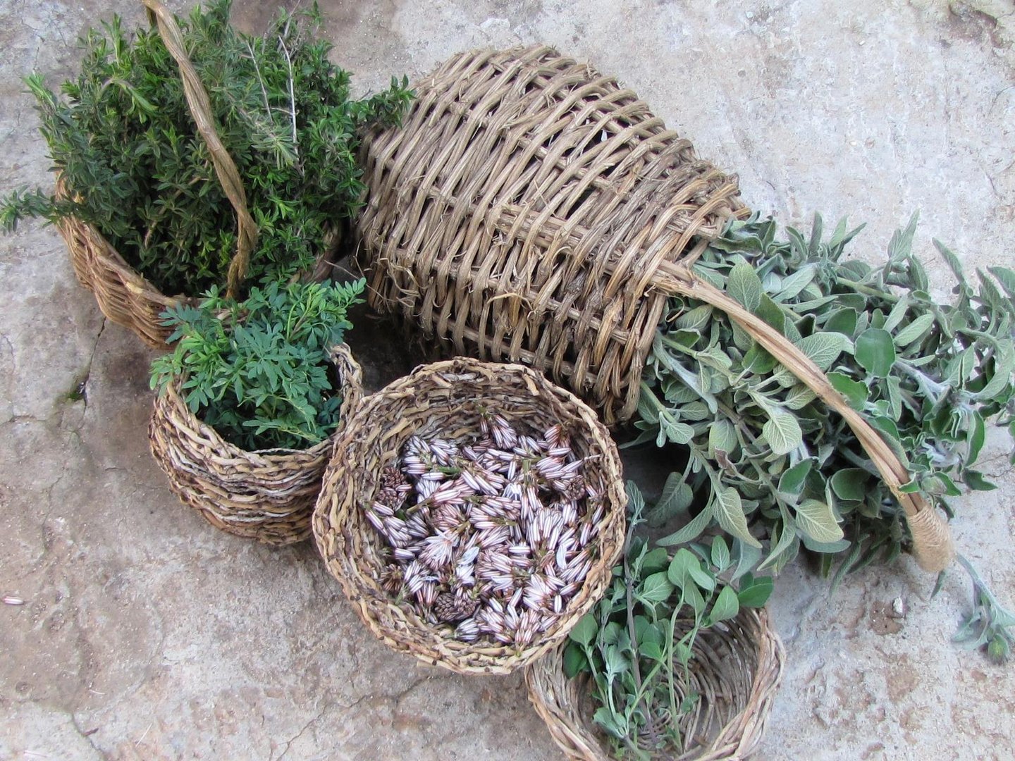 image Learn essential survival and crafty skills