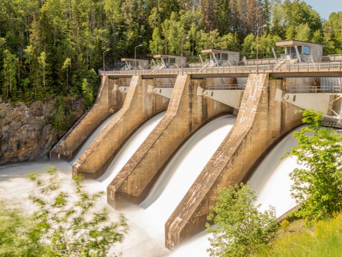 image Hydropower dams make a fish-friendly splash