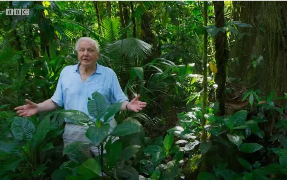 cover TV shows we love: The Green Planet by Alix Norman
