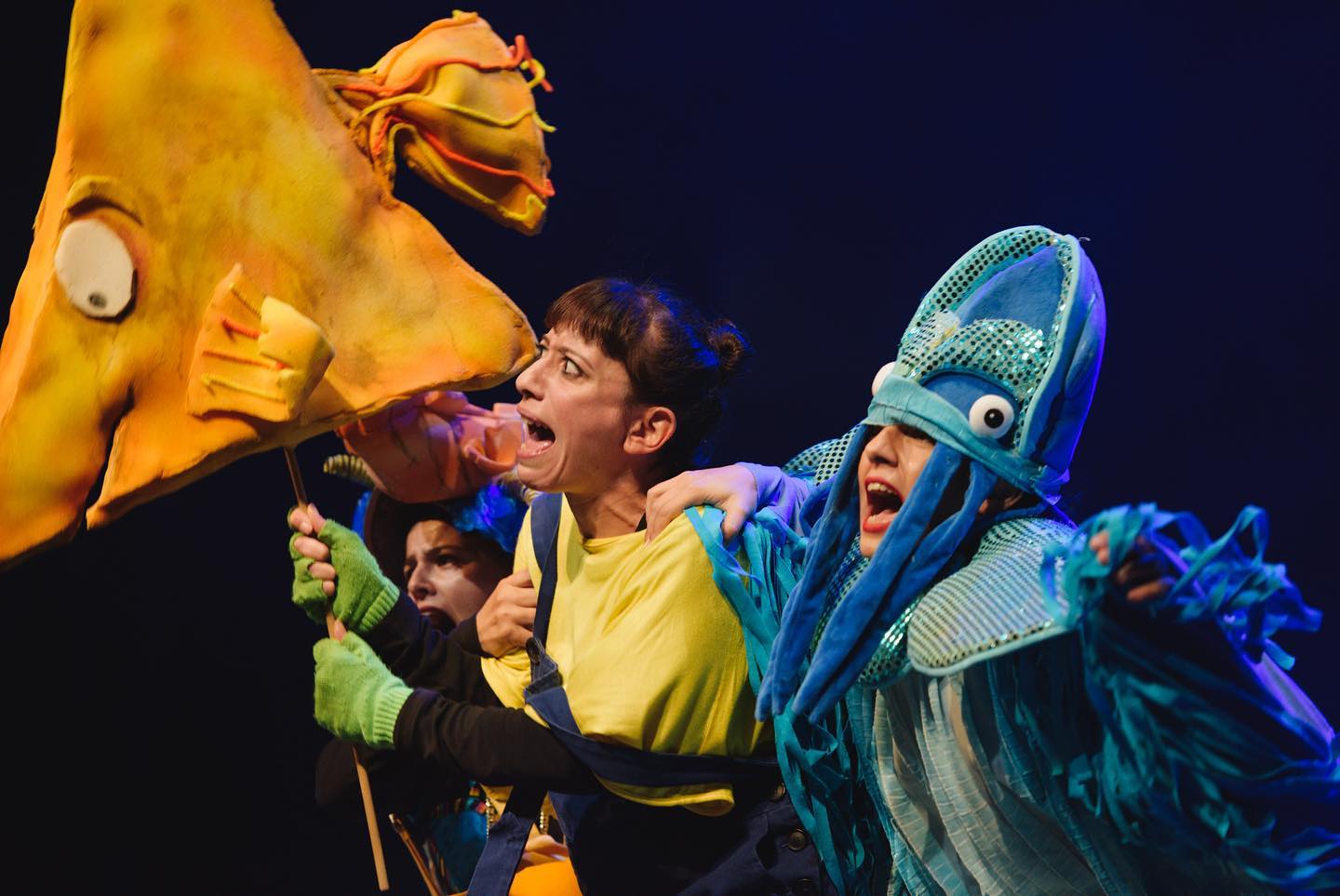 image Theatre performances celebrate 25 years of The Little Triangle Fish