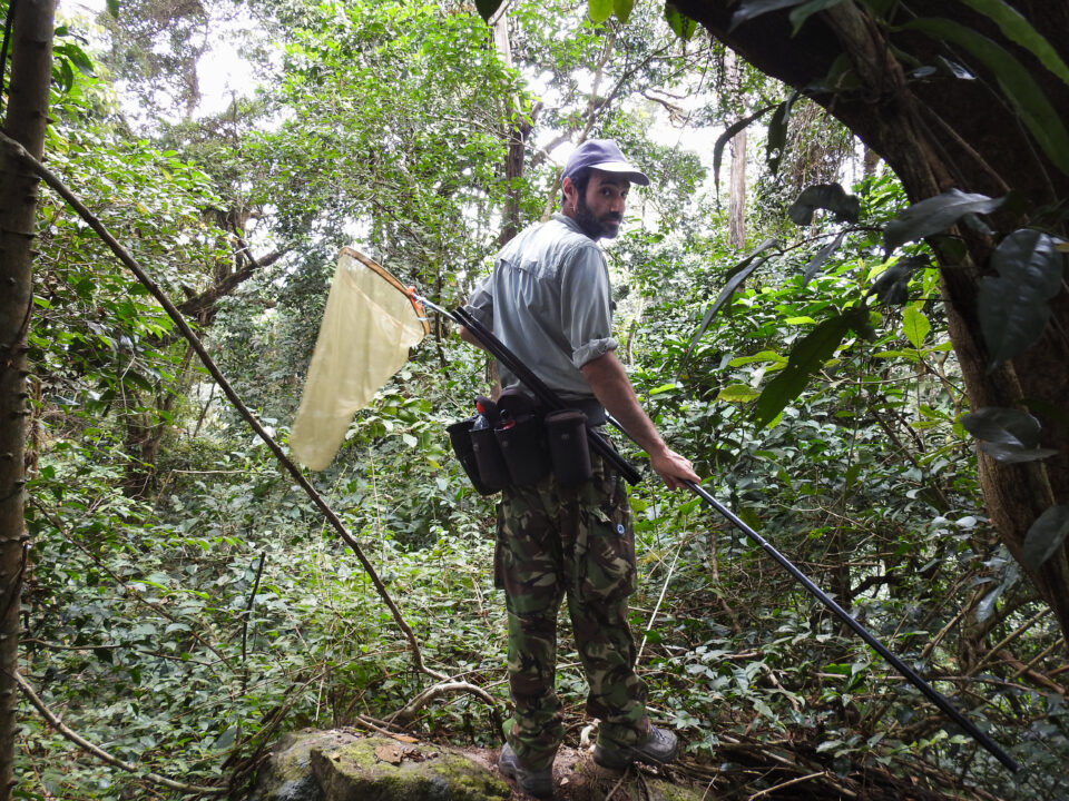 feature annette marios in action, collecting insects in cote d’ivoire on one of his expeditions in africa