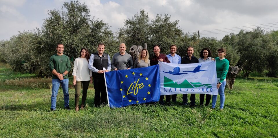feature vultures the life with vultures project team during the kick off meeting in cyprus (birdlife cyprus)