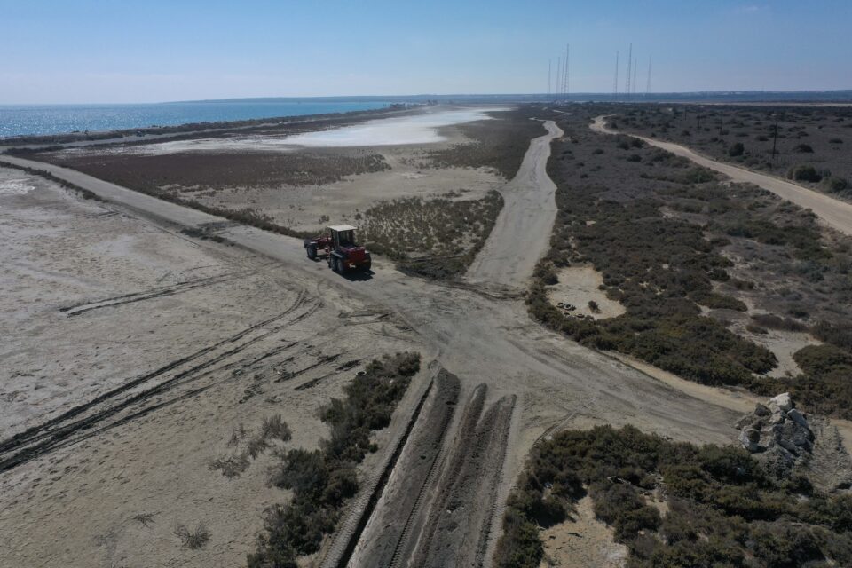 Saving The Wetlands 