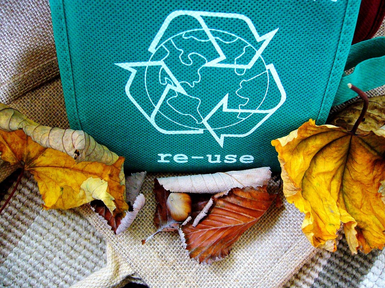 image Youth organisation on mission to raise green awareness