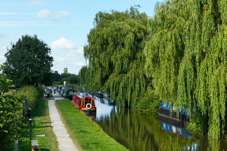 the trent and mersey canal