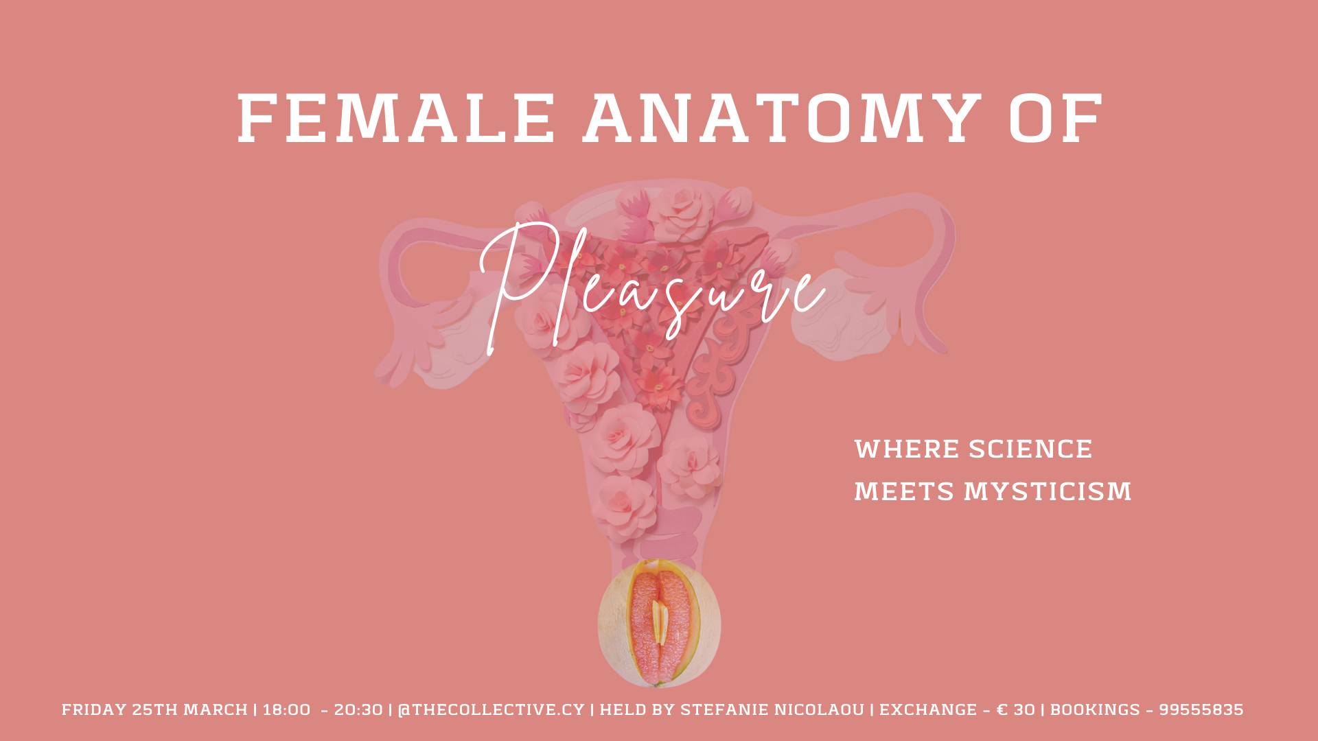 image Workshop: the female anatomy of pleasure